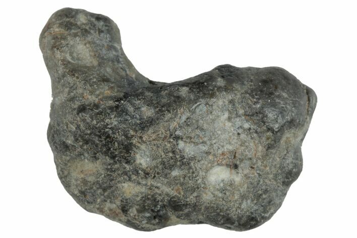 Lunar Meteorite ( g) - Laayoune #281631